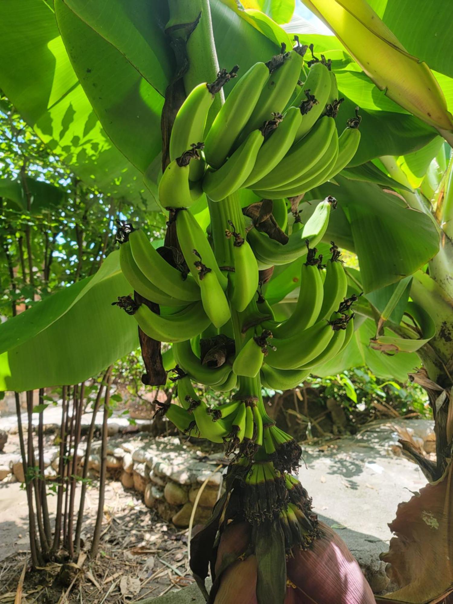 Villas Jardin Del Mar La Cruz de Huanacaxtle ภายนอก รูปภาพ